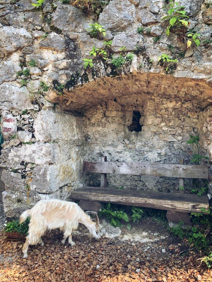 מלון Micheldorf in Oberösterreich Burg Altpernstein מראה חיצוני תמונה