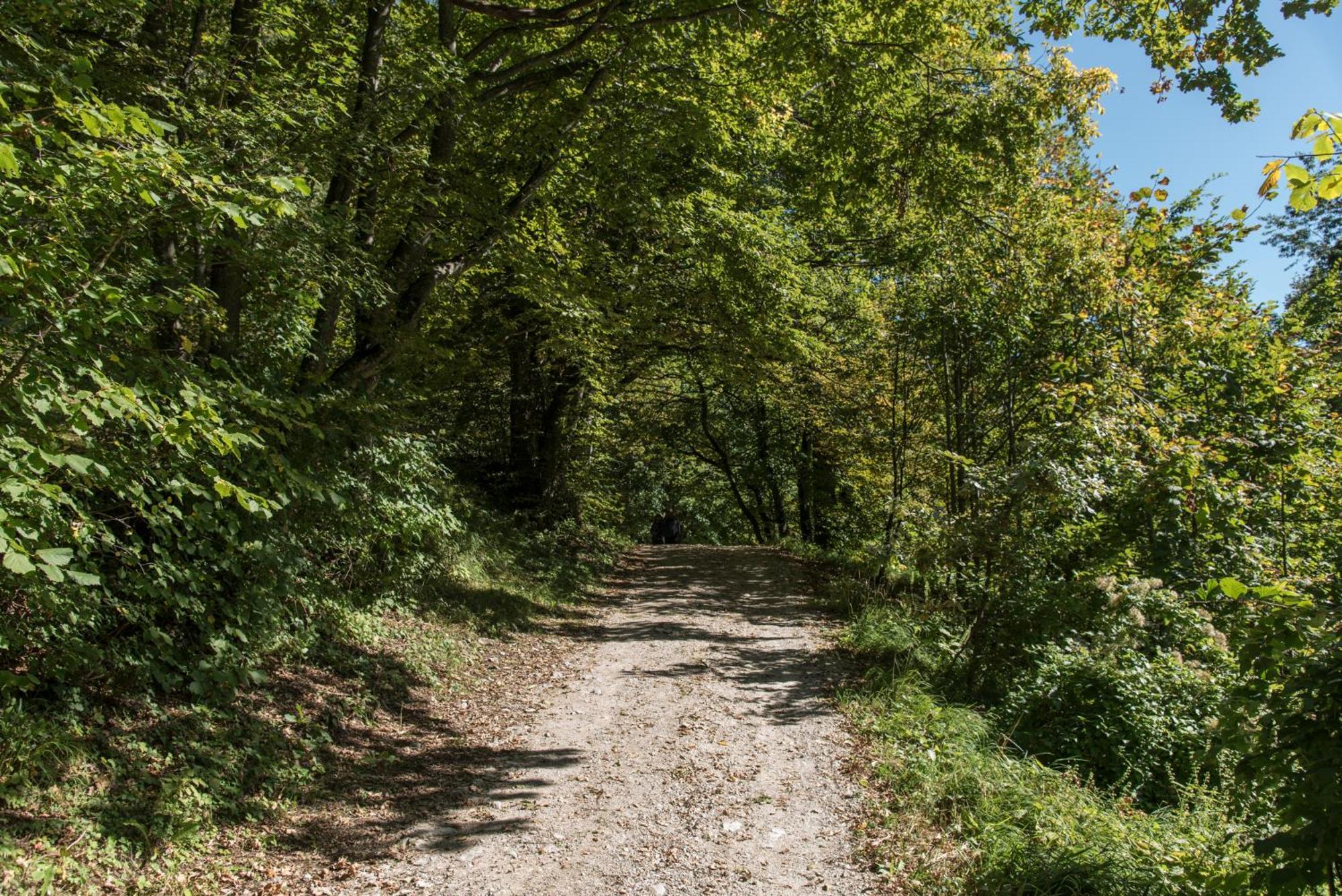 מלון Micheldorf in Oberösterreich Burg Altpernstein מראה חיצוני תמונה